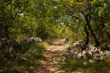 Fototapeta na wymiar Path in the scenic Croatian countryside