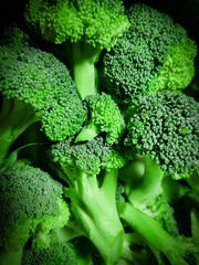broccoli green close up background
