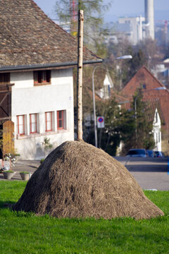 Hey Stack At Springtime, Zurich, Switzerland.