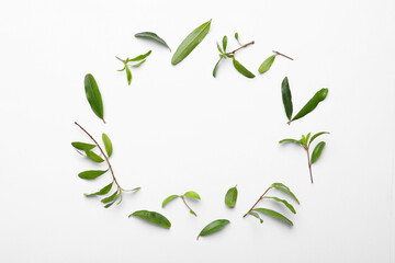 Frame of pomegranate leaves on white background, flat lay. Space for text