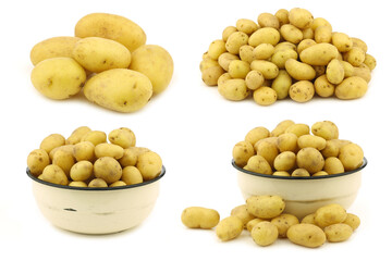 bunch of dutch seed potatoes (krieltjes) and some in an enamel bowl on a white background