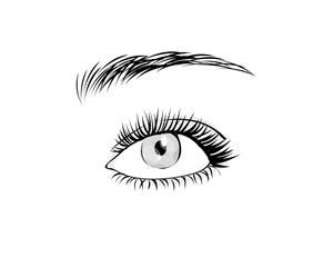 Female eye with long eyelashes and eyebrowe
