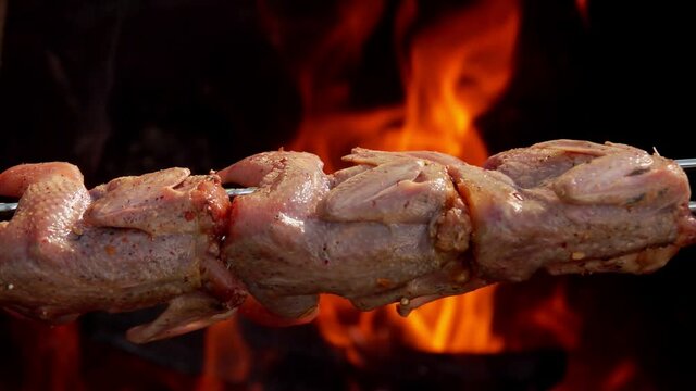Raw marinated juicy quails on the skewer are roasting on the background the open fire outdoors
