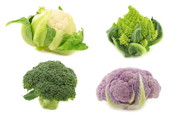 Romanesco broccoli, fresh cauliflower, purple cauliflower and green broccoli on a white background