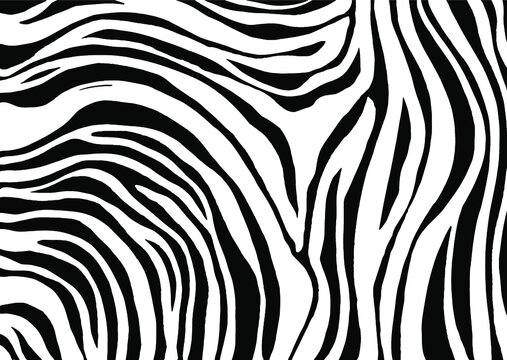 Tiger print, animal skin, zebra stripes, abstract pattern, line background, fabric. Vintage, retro 80s, 90s. Amazing hand drawn vector illustration. Poster, banner. Black and white artwork, monochrome