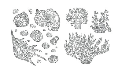Sea shell and coral isolated. Seashells clipart set collection. Vector illustration. Zentangle, zen art. Coloring book page. Hand drawn artwork. Black and white. Bohemian ethnic concept