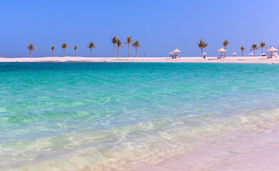 Obraz premium Palm trees on Al Mamzar beach in Dubai