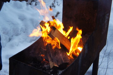 Obraz premium fire in the fireplace