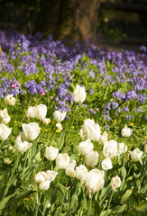 Flower bed