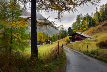 Majestic autumn alpine scenery with colorful larch forest,