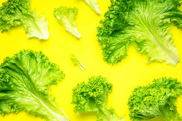 Pattern from Fresh green lettuce leaves on bright yellow background flat lay top view. Creative background with salad, healthy vegetarian food, eco products, vegetable, diet, vitamins. Food concept