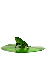 frog on a leaf isolated on white background