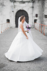 Naklejka premium Beautiful luxury bride in elegant white dress