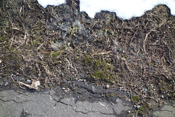 北海道の地面のグラフィック素材の一年
