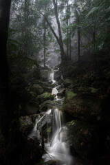waterfall in the woods