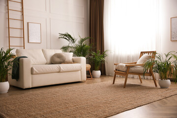 Beautiful potted house plants in stylish living room