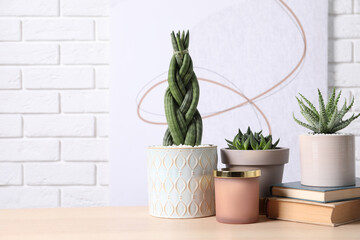 Beautiful Sansevieria, Aloe and Haworthia in pots with decor on wooden table against white brick wall, space for text. Different house plants