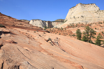 Zion National Park in Utah, USA