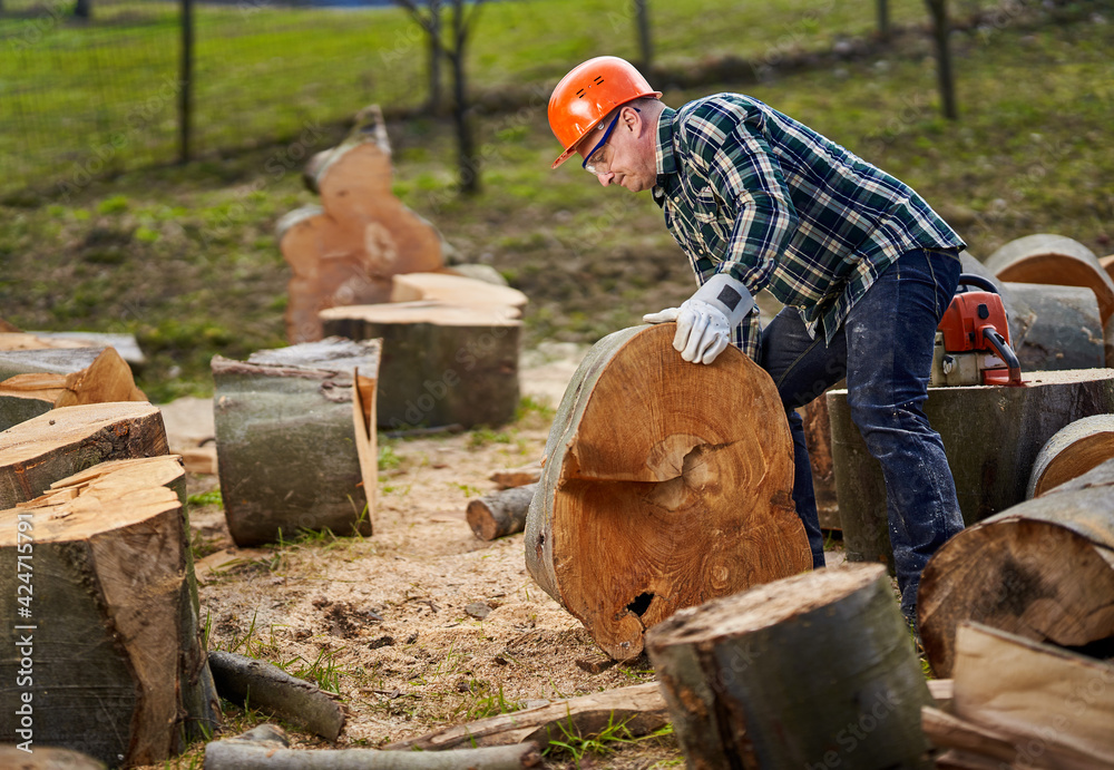 Sticker Lumberjack with chainsaw working