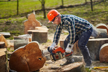 Lumberjack with chainsaw working