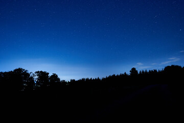 Many white stars in front of a blue night sky with small white clouds, the dark forest in the foreground is shown as a silhouette. Germany, Heroldstatt.
