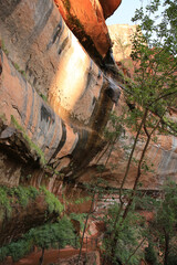 Waterfall in Zion Canyon, Zion National Park in Utah, USA