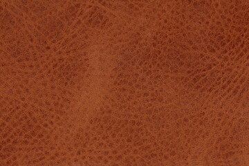 leather background
