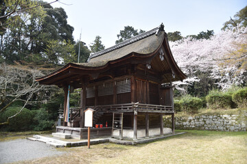 Naklejka premium 春の三井寺 護法善神堂 滋賀県大津市