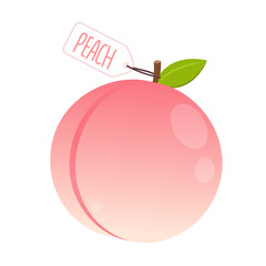 Peach vector. Peach on white background. Peach logo design.