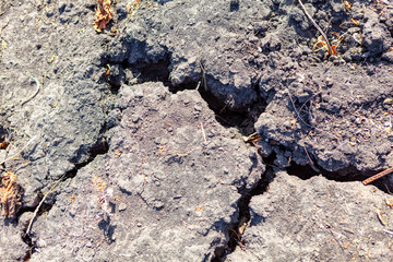 Drought cracked ground earth . Arid climate , bad agricultural condition