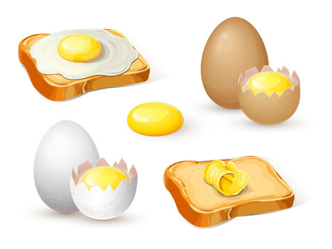 fried eggs on bread, toast with butter, whole hard boiled egg and half with soft boiled yolk for breakfast isolated on white. healthy nutrition realistic illustration. toast with sunny side up eggs.