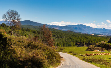 Fototapeta premium Hills with forest and mountain range on horizon.