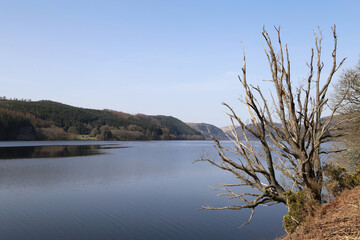 A view across the beautiful Lake Vyrnwy in Powys, Wales, UK.