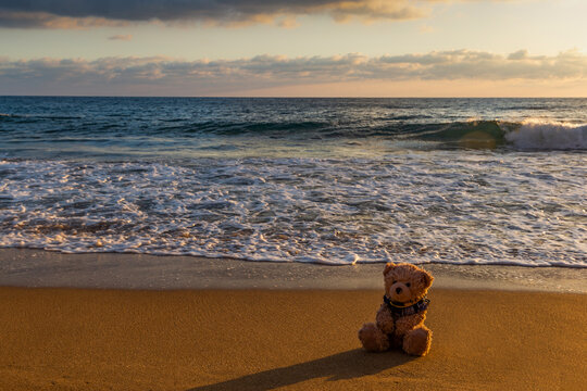Teddy bear sitting on the coast of ocean.
