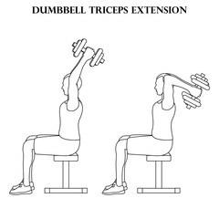 Dumbbell triceps extension exercise strength workout vector illustration outline