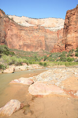 Virgin River in Zion Canyon, Zion National Park in Utah, USA