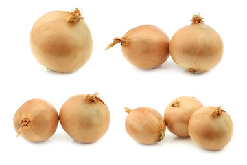 Big brown onions on a white background