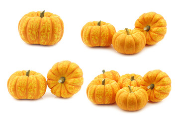 Small orange pumpkins on a white background