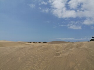 sand dunes on the beach