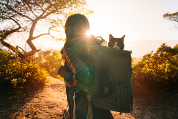 Woman walking outdoors in nature with her lovely cat in backpack carrier at sunset. Funny cat looks...