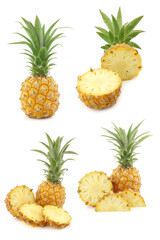 Mini pineapple fruit  on a white background