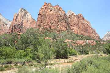 Virgin River in Zion Canyon, Zion National Park in Utah, USA