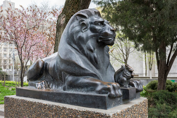   Lion guarding the 