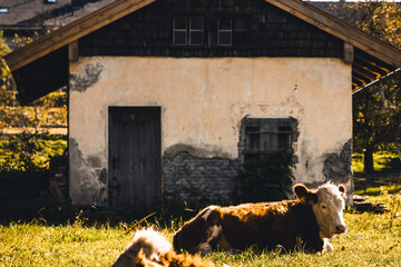 Bavaria Germany, Tegernsee.