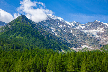 Fototapeta na wymiar Scenic summer mountain landscape of Swiss Alps with rocky peaks and green hillsides. View from Simplon Pass.