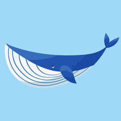 Vector handdrawn sea mammal blue big cartoon cute whale 