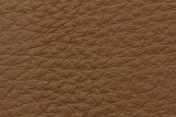 Fototapeta premium brown leather texture