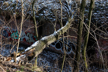 Fort 50 Prokocim - Krak&oacute;w 