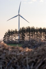 Wiatrak na polu elektrownia wiatrowa