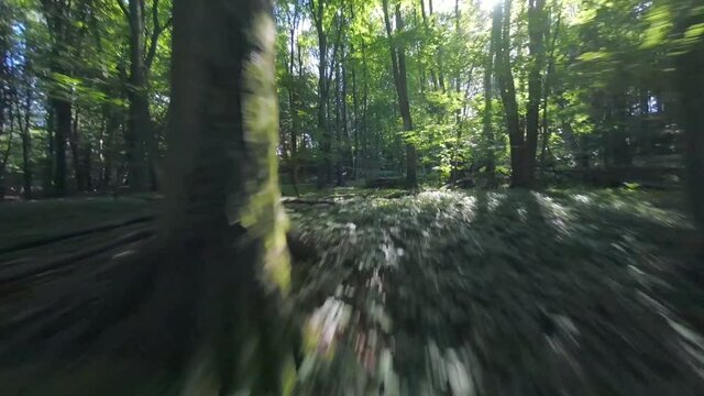 H&uuml;gelland smooth forest fpv cruise